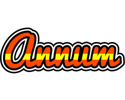 Annum madrid logo