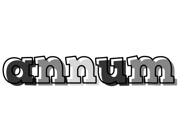 Annum night logo