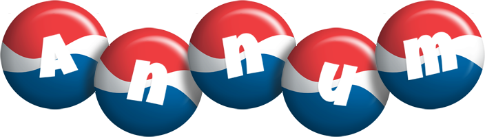 Annum paris logo