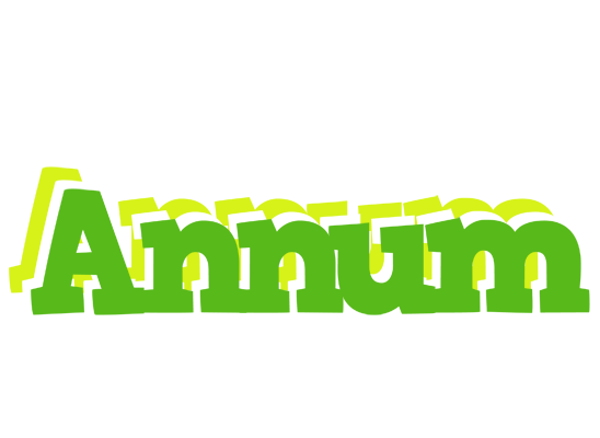 Annum picnic logo
