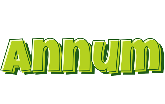 Annum summer logo