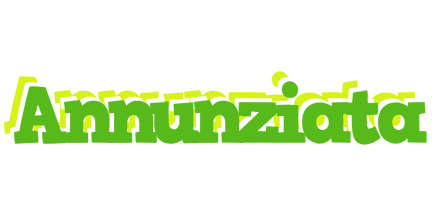 Annunziata picnic logo