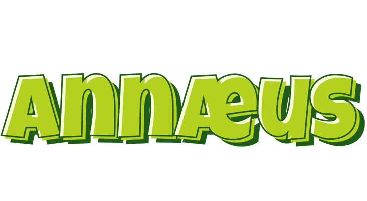 Annæus summer logo