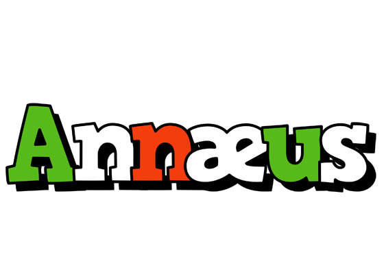 Annæus venezia logo