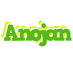 Anojan picnic logo