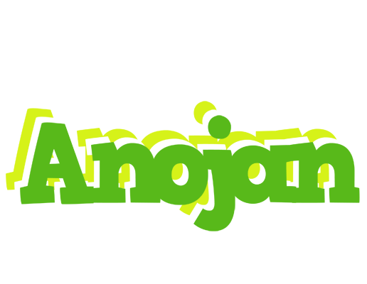 Anojan picnic logo