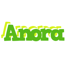 Anora picnic logo