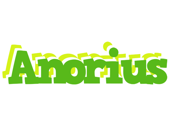 Anorius picnic logo