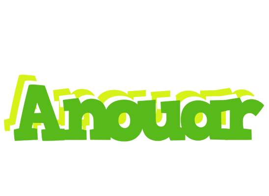 Anouar picnic logo
