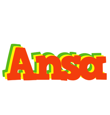 Ansa bbq logo