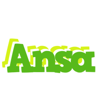 Ansa picnic logo