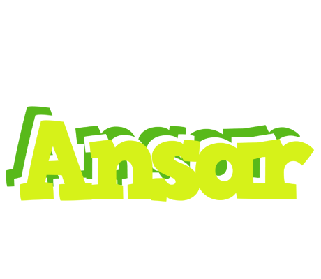 Ansar citrus logo