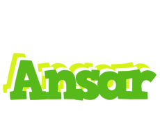 Ansar picnic logo