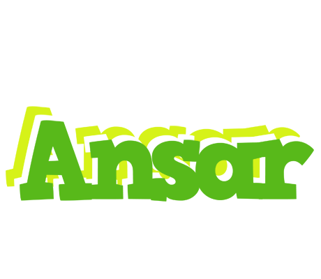 Ansar picnic logo