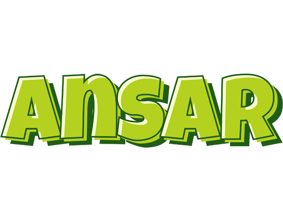 Ansar summer logo