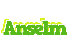 Anselm picnic logo