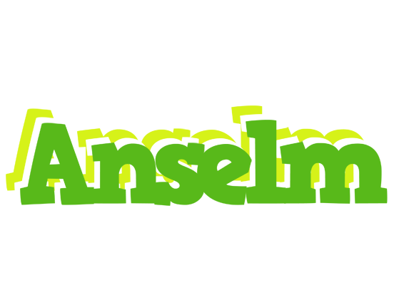 Anselm picnic logo