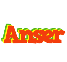 Anser bbq logo