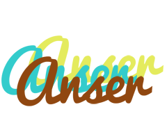 Anser cupcake logo