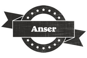 Anser grunge logo