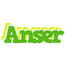 Anser picnic logo