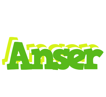 Anser picnic logo
