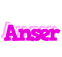 Anser rumba logo