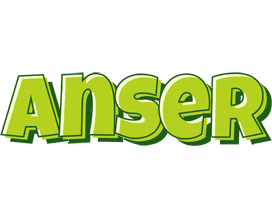 Anser summer logo