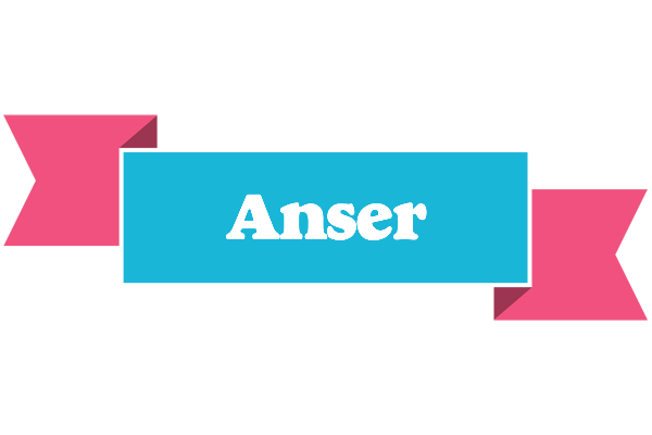 Anser today logo
