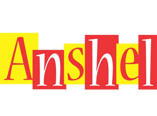 Anshel errors logo