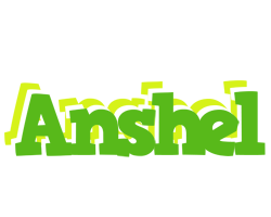 Anshel picnic logo