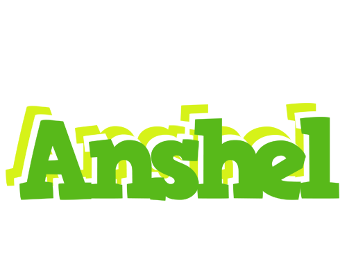 Anshel picnic logo