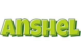 Anshel summer logo