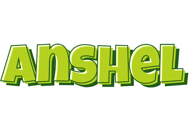Anshel summer logo