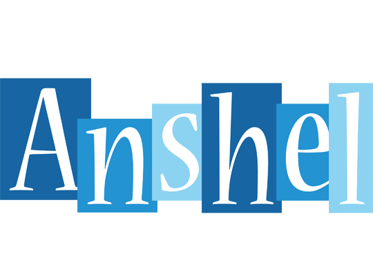 Anshel winter logo