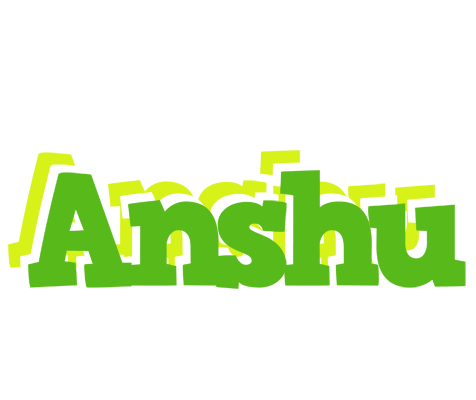 Anshu picnic logo