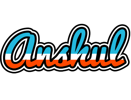 Anshul america logo