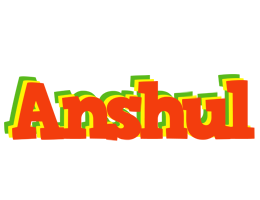 Anshul bbq logo