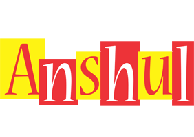 Anshul errors logo