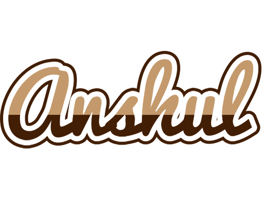 Anshul exclusive logo