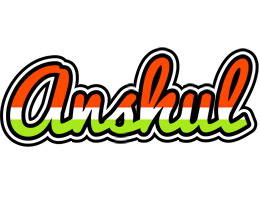 Anshul exotic logo