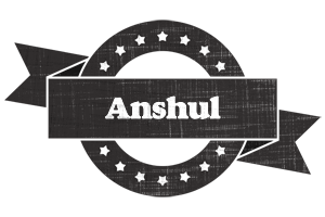Anshul grunge logo