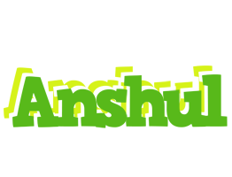 Anshul picnic logo
