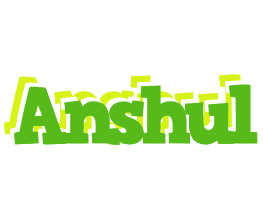 Anshul picnic logo
