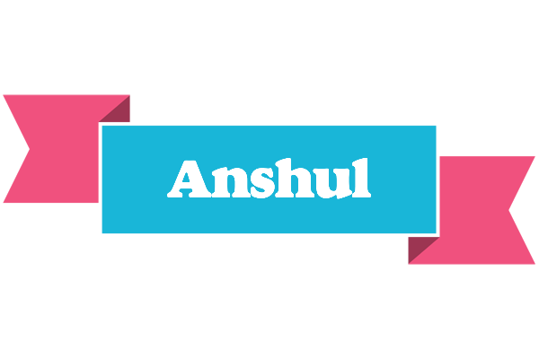 Anshul today logo