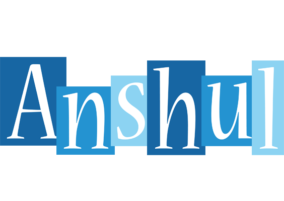 Anshul winter logo