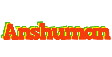 Anshuman bbq logo