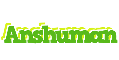 Anshuman picnic logo