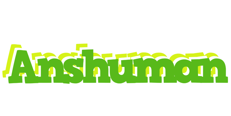 Anshuman picnic logo