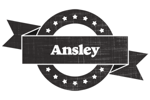 Ansley grunge logo